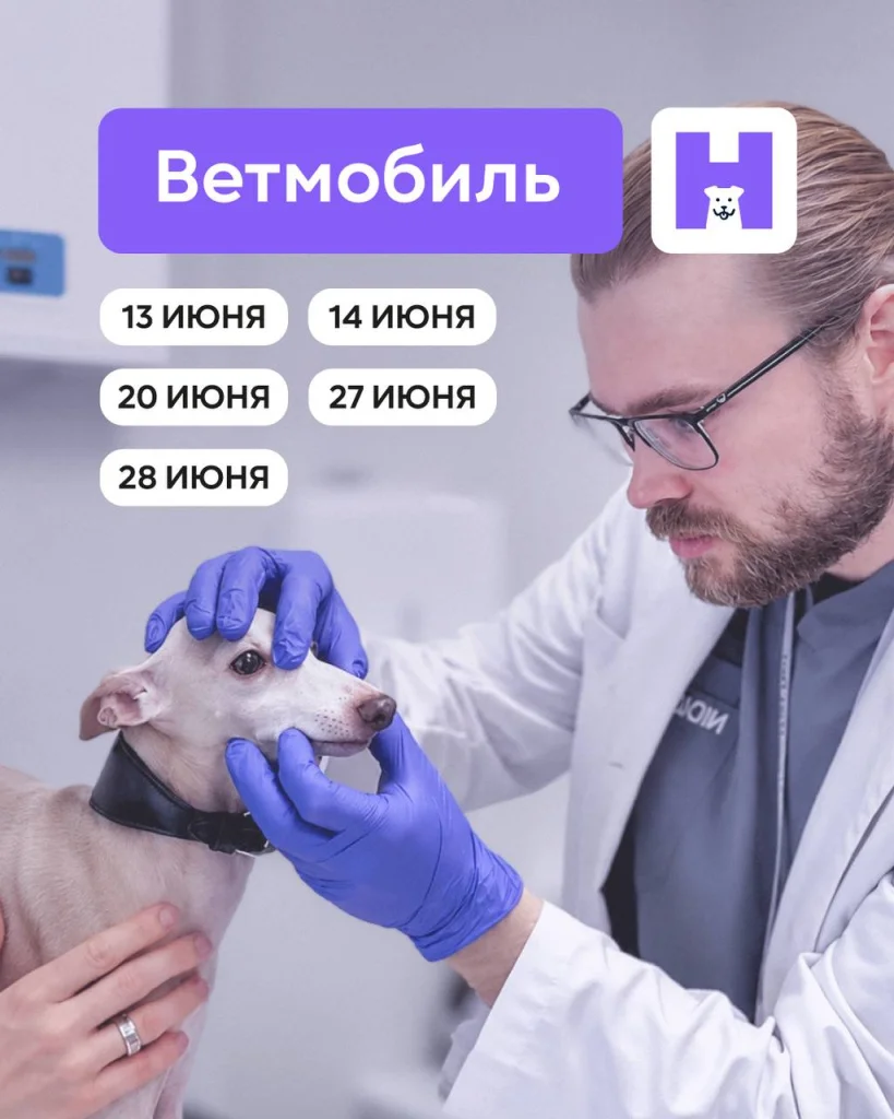 ВетМобиль
